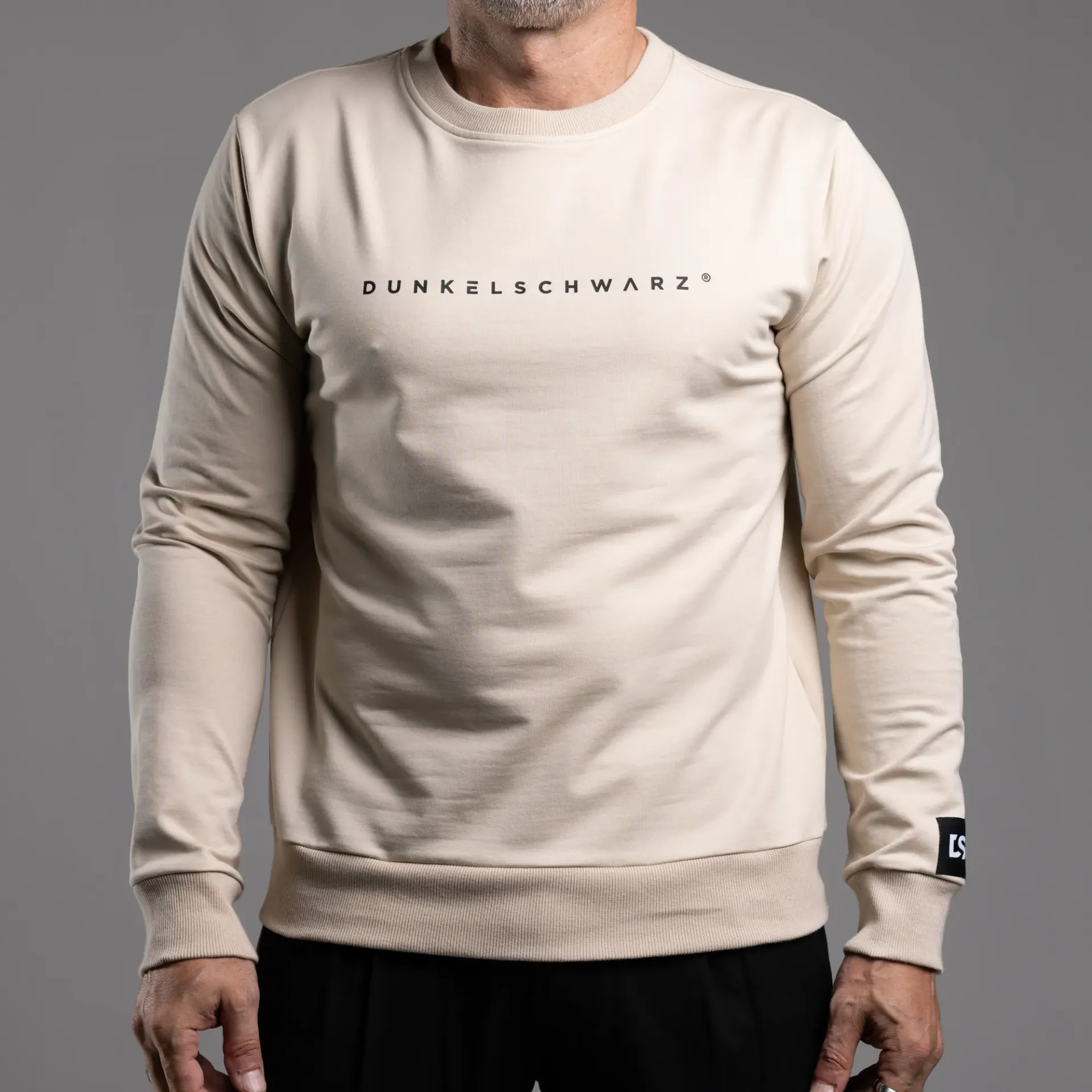 Sweatshirt DS-5 LOGO sand (S)